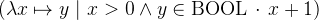 $(\lambda x\mapsto y ~ |~  x>0 \land y\in \mathord {\mathrm{BOOL}}~ \mathord {\mkern 1mu\cdot \mkern 1mu}~  x+1)$